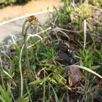 Thumbnail of post image 059