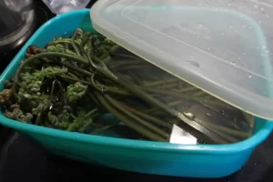 わらび　アク抜き