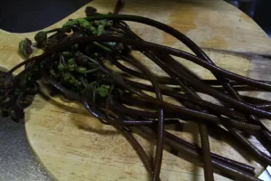 わらび　食べ方