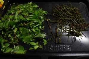 クロモジ茶 作り方