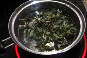 クロモジ茶 作り方